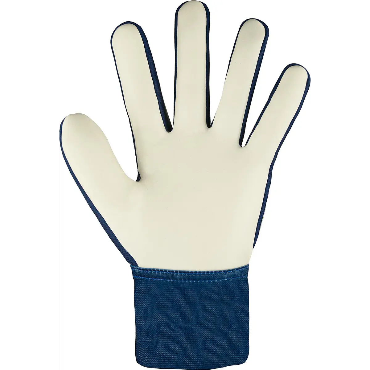 Guante Arquero Reusch Attrakt Starter Solid JR