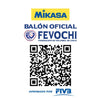 Balon Voleibol Mikasa V200W